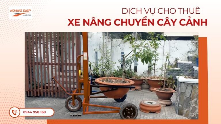 Dịch vụ cho thuê xe nâng chuyển cây cẩnh
