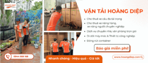 Giới thiệu Hoàng Diệp